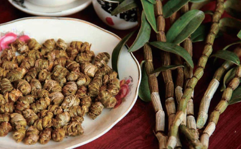 ‌雁荡山铁皮石斛