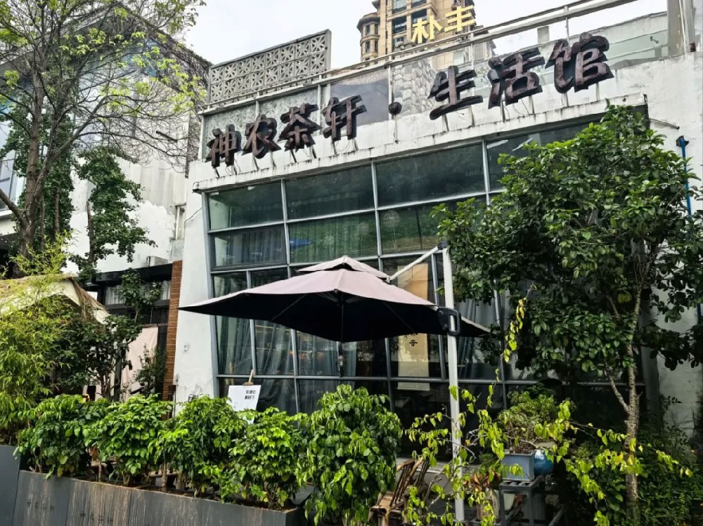 神农茶轩·云坐