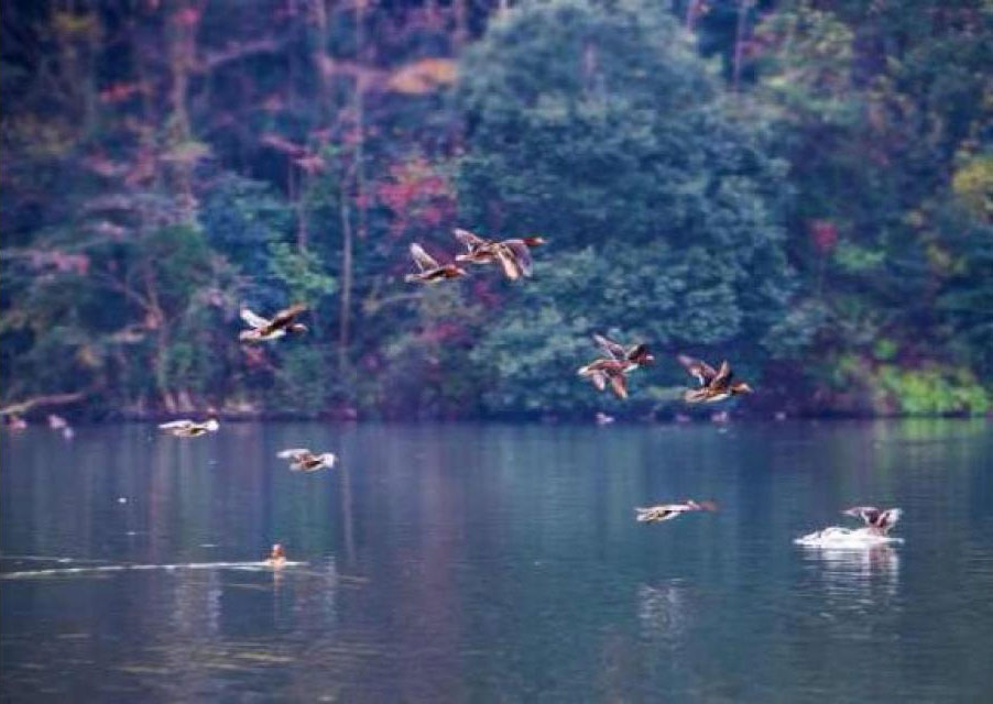 桐溪风景名胜区